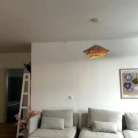 Gemuetliche In Mit Dachterrasse * Malente